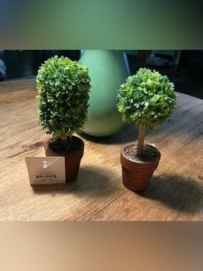 Mud Pie Green Mini Boxwood Topiary Pair in Brown Clay Like Pots